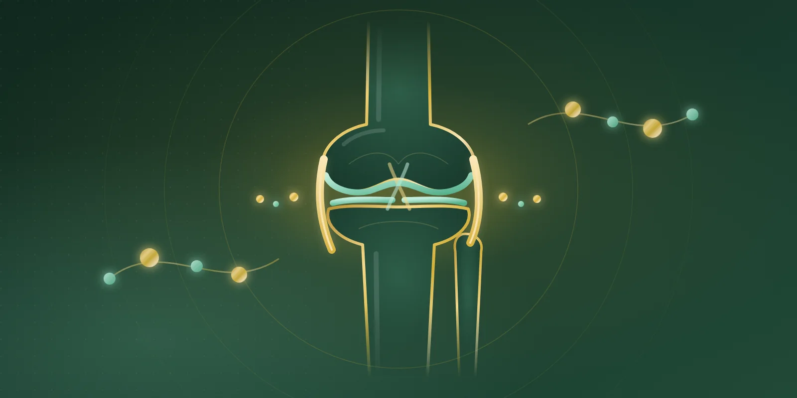 Gold line-art knee joint showing femur, tibia and fibula with mint cartilage and glowing gold collateral ligaments on a deep green background